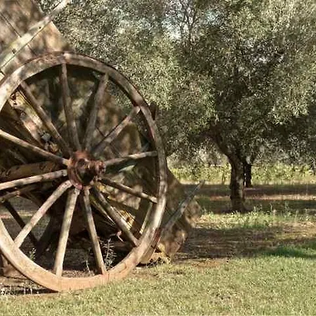 Griko Country Lecce